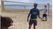 Reprodução Vídeo