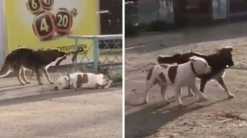 Reprodução/Youtube