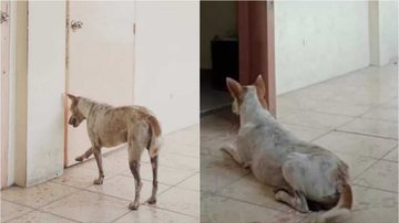 Reprodução/Facebook