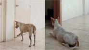 Reprodução/Facebook