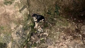 Reprodução/Corpo de Bombeiros/NDMais