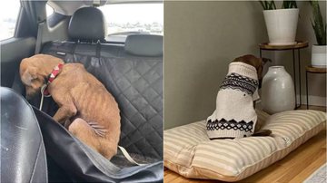 Reprodução/Chelsea Elizabeth Cossairt