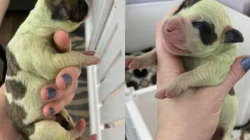 Reprodução/The Mirror