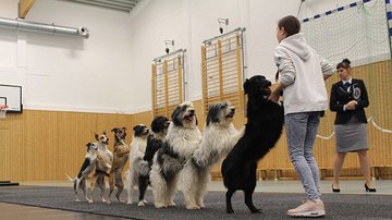 Reprodução/Instagram Guinness World Records