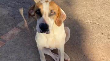 Reprodução/Direto das Ruas