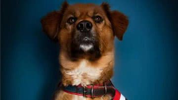 Reprodução/Twitter