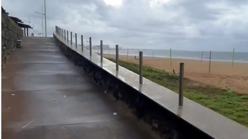 Reprodução/Instagram @jardim.armacao