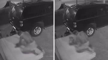 Reprodução/Redes Sociais