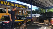 Foto: PRF/Divulgação