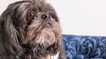 Foto Ilustrativa/Pixabay