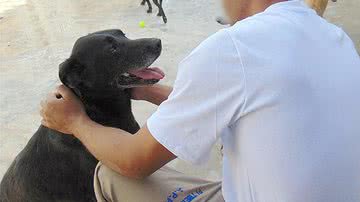 Divulgação/Governo de São Paulo