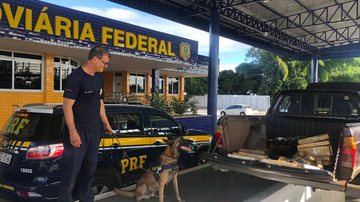Imagem Bahia: Cachorro descobre maconha em carro e frusta entrega da carga