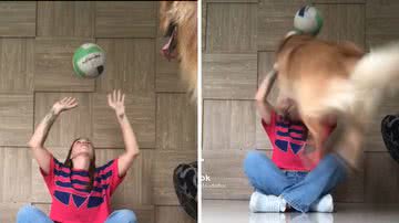 Reprodução/TikTok @brustaudohar