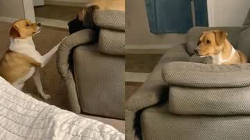 Reprodução/TikTok @kellywillmon