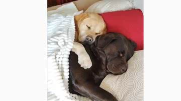 Reprodução | Youtube