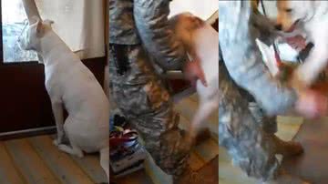 Reprodução/Youtube/Shanti Kriens