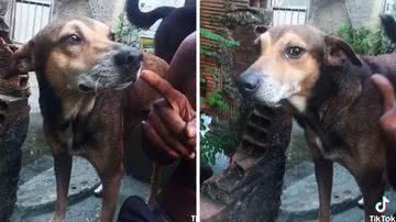 Reprodução/TikTok @marrentooficial2