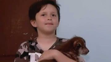 Reprodução/Zoorprendente