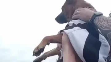 Reprodução/@figueiro64