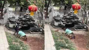 Reprodução/Twitter