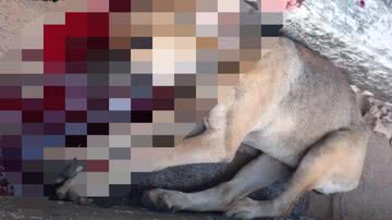 Reprodução/Redes Sociais