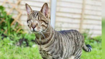 Reprodução/ Instagram