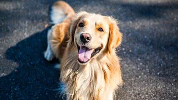 Foto Ilustrativa/Pixabay