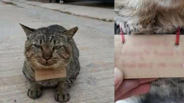 Reprodução/Facebook