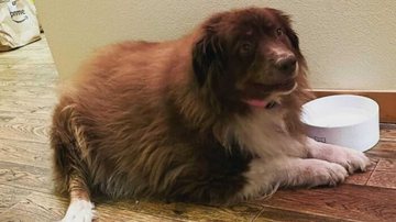 Instagram/repulsivelyflamboyant