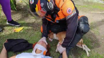 Corpo de Bombeiros/Divulgação