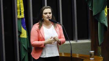 Luis Macedo/Câmara dos Deputados  Fonte: Agência Câmara de Notícias