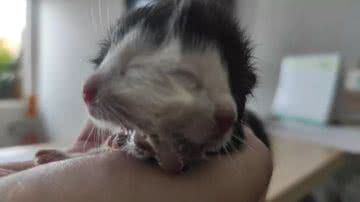 César Vieira Blanski/Arquivo Pessoal