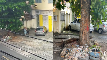 Imagem Tutor incita cachorro a atacar filhotes de gato e caso vai parar na Polícia; veja vídeo