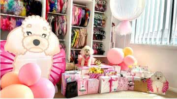 Reprodução/Instagram