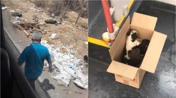 Reprodução/Schnauzi