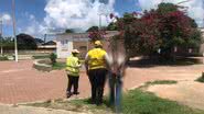 Reprodução/ Ascom Ronda do Bairro