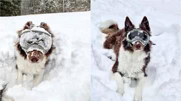 Arquivo Pessoal/Jessica Dylan Mann