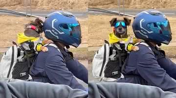 Reprodução/Facebook Jannette Ortiz