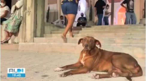Reprodução TV Gazeta