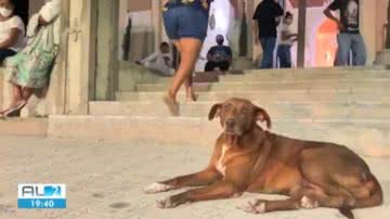 Reprodução TV Gazeta