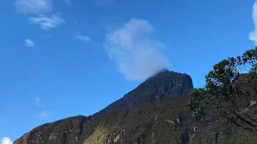 Divulgação // Vanessa Marino