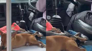 Reprodução/TikTok @holynicol24