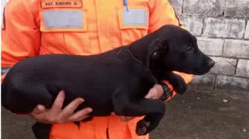 Divulgação / Corpo de Bombeiros