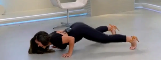 Divulgação