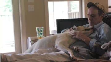 Reprodução/The Dodo