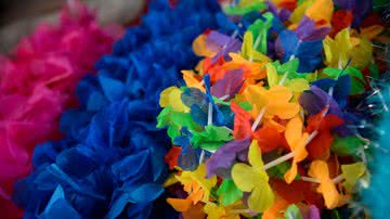 Tomaz Silva/ Agência Brasil