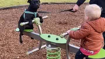 Reprodução/Youtube