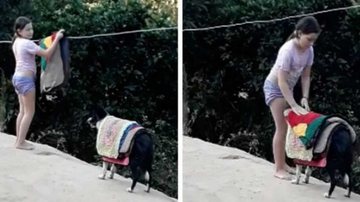 Reprodução/Facebook