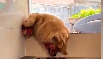 Reprodução/TikTok @ dr.marcellocruz