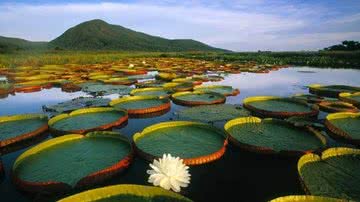 Divulgação // Turismo MS